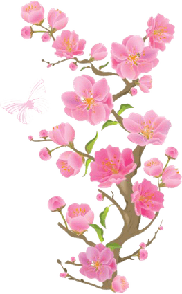 Spring PNG
