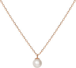 Pearl Necklace PNG