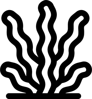 Algas PNG