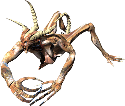 Diablo Ii PNG