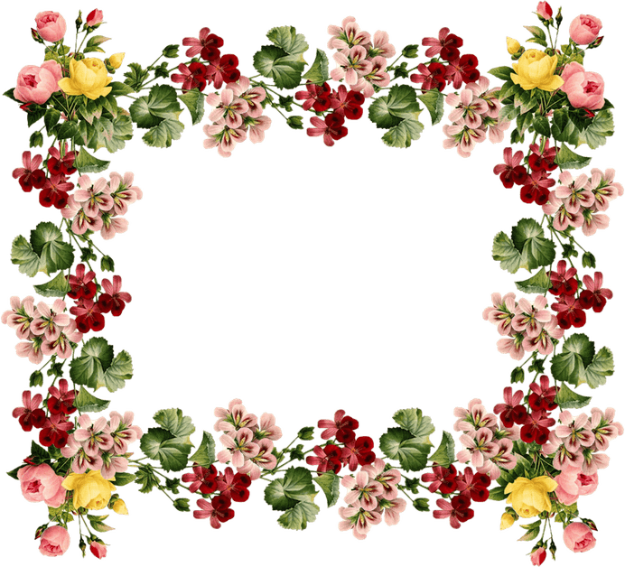 Flower Border A4 PNG
