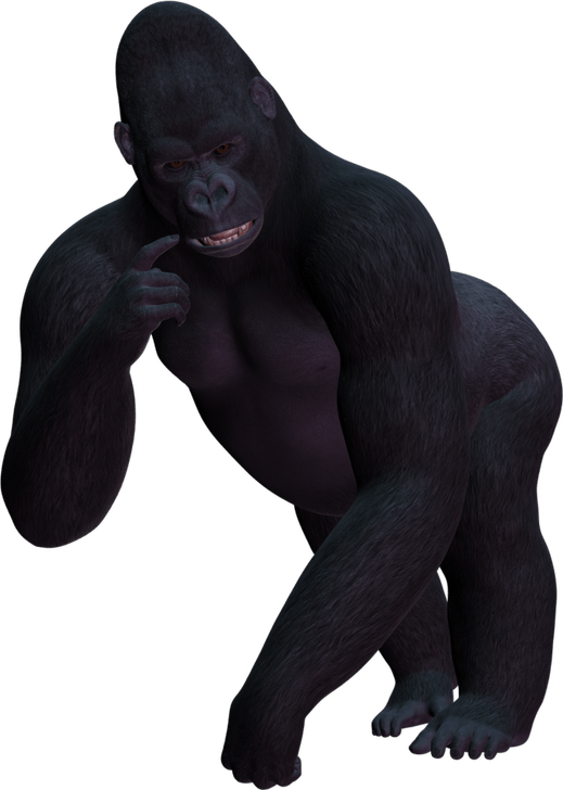 Gorilla PNG