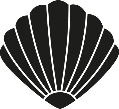 Clams PNG