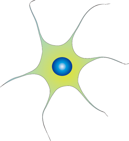 Neuron PNG