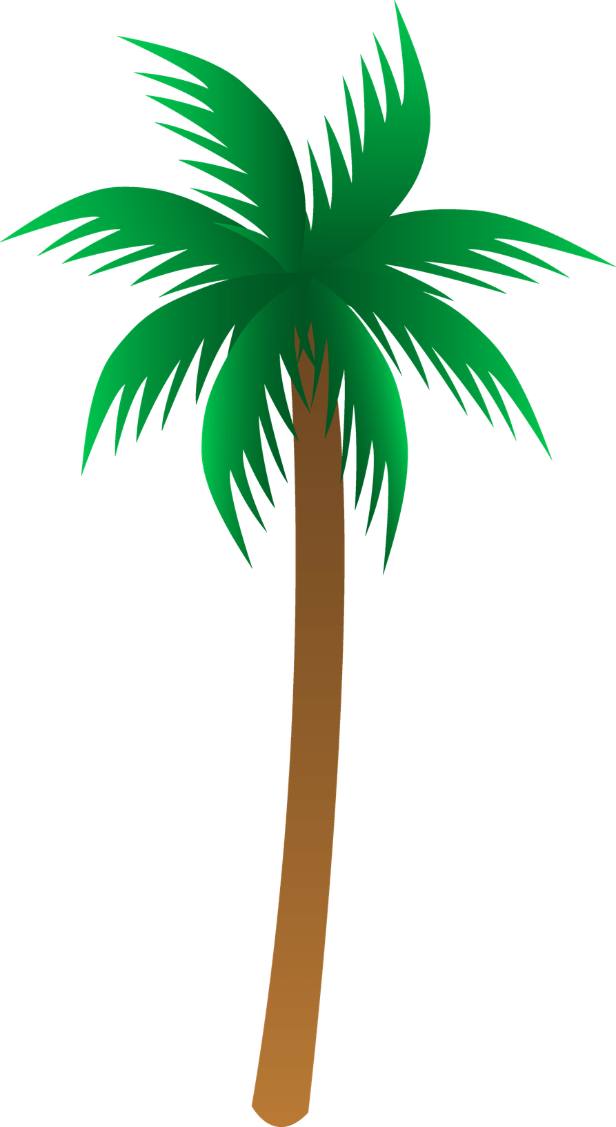 Palm Tree Cartoon PNG
