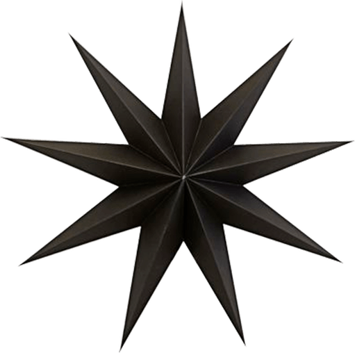 9 Pointed Star PNG