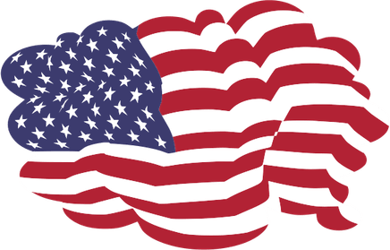 Little American Flag PNG