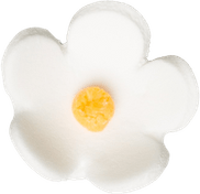 Mini Flower PNG