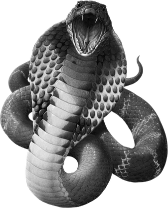 Black Mamba PNG