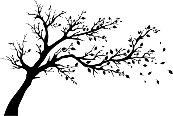 Tree Stencil PNG