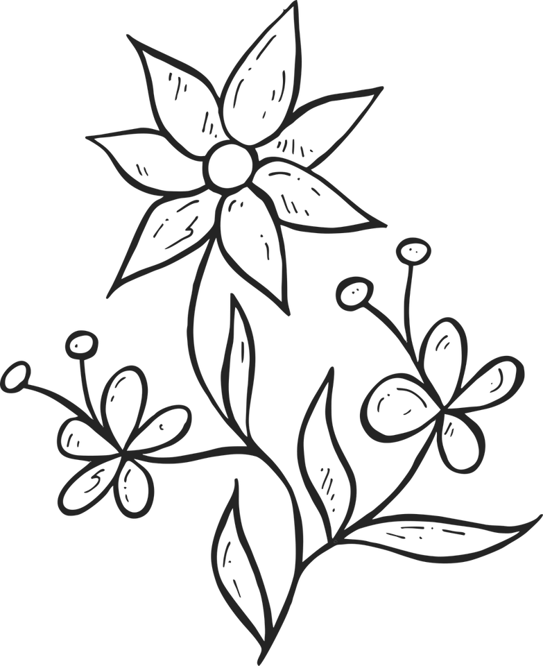 Black Flower PNG