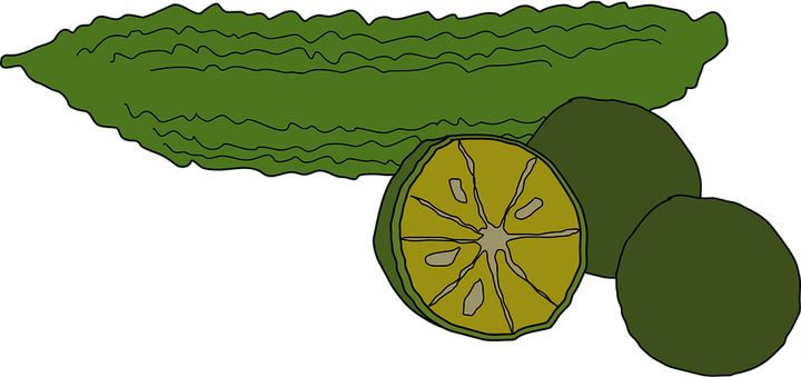 Bitter Gourd PNG