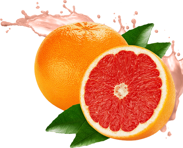 Grapefruit PNG