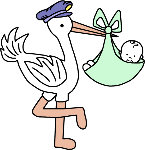 Stork Baby PNG