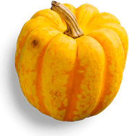 Acorn PNG