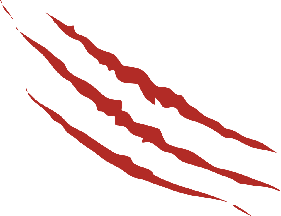Realistic Claw Marks PNG