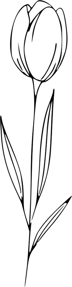 Valentine Day Flower PNG