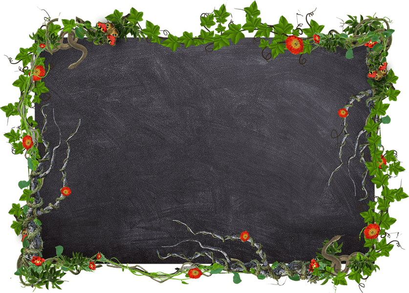Chalkboard Flower PNG