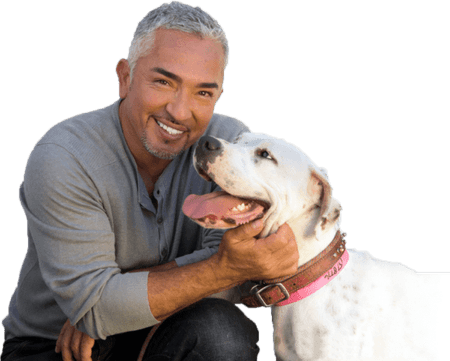 Cesar Millan PNG
