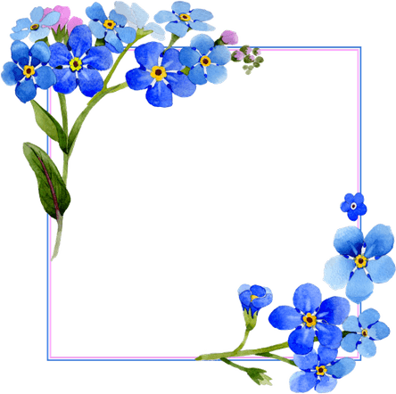 Flower Colorful PNG