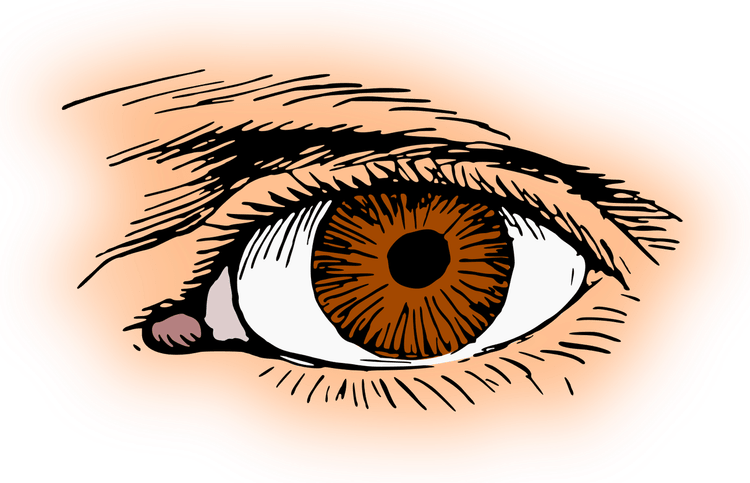 Brown Eye PNG