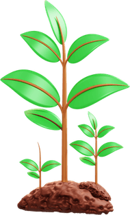 Plant Tree PNG