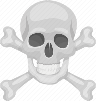 Skeleton Skull PNG
