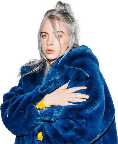 Aesthetic Theme Billie Eilish PNG