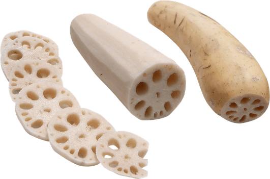 Lotus Stem PNG