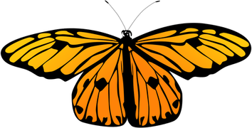 Butterfly Small PNG