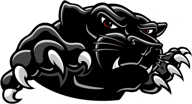 Carolina Panthers Logo PNG