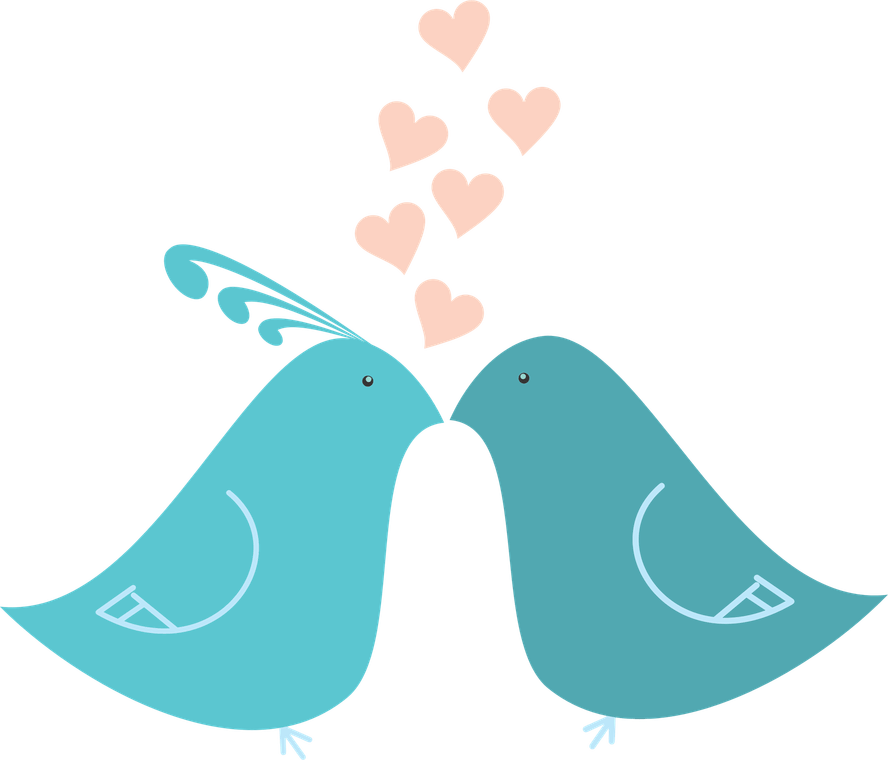 Love Birds PNG