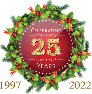 Hanging Christmas Lights PNG