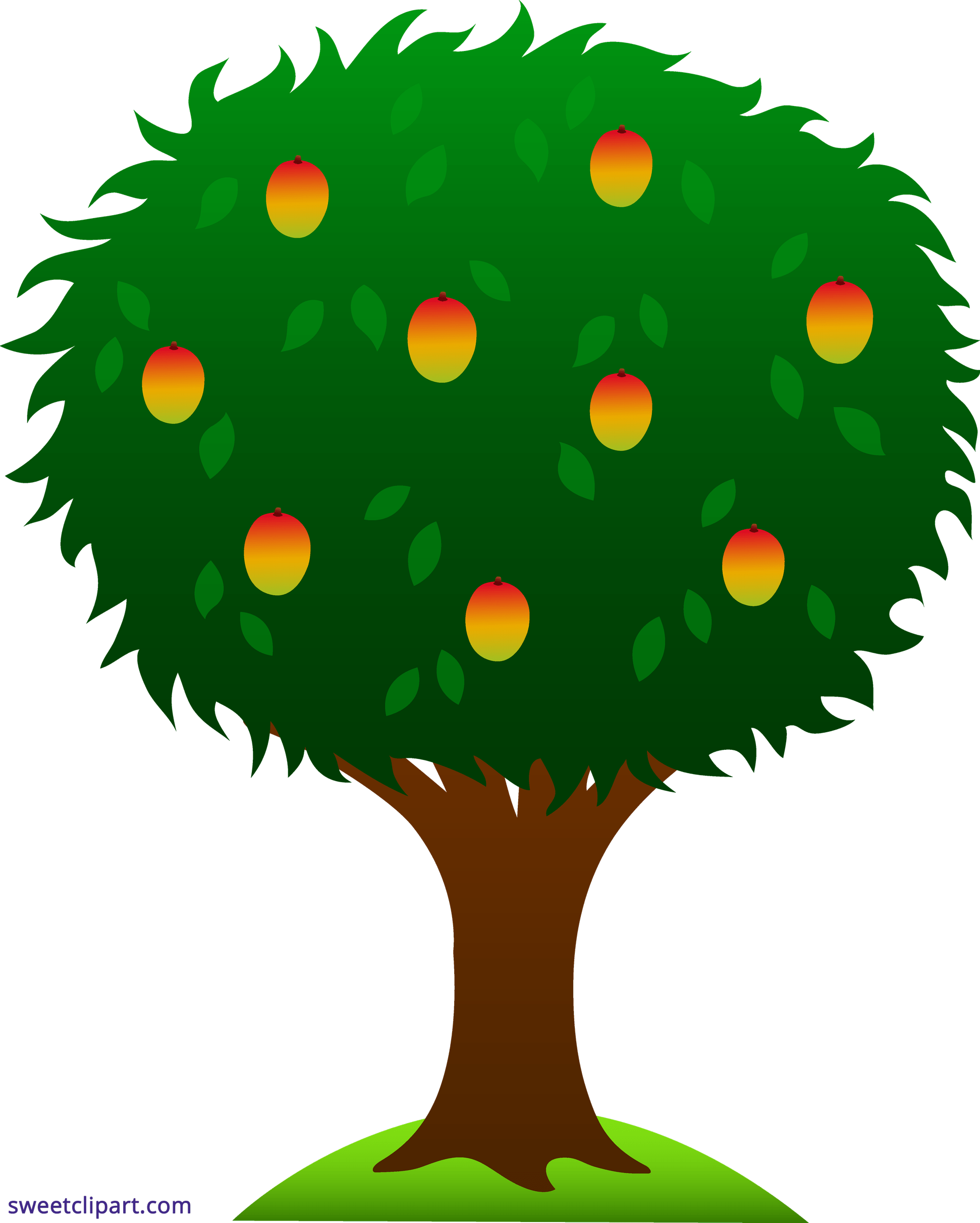 Mango Tree PNG