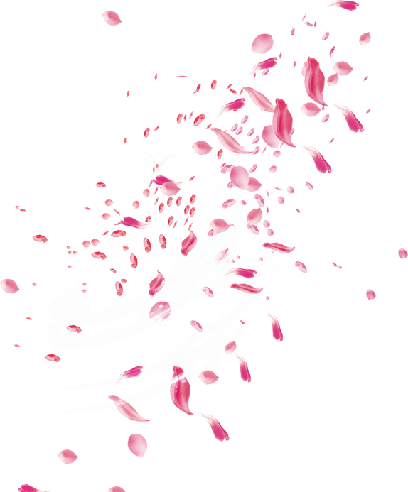 Flower Petals PNG