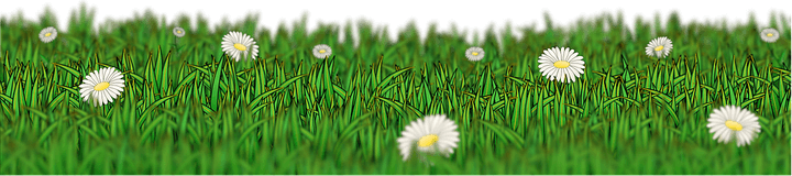 Meadow Grass PNG