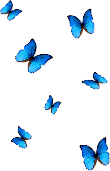 Aesthetic Theme Butterfly PNG