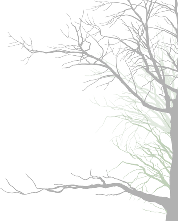 Scary Tree PNG