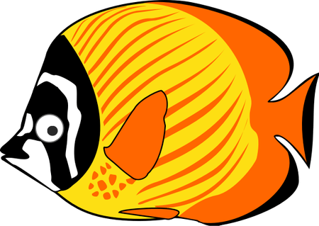 Ocean Fish PNG