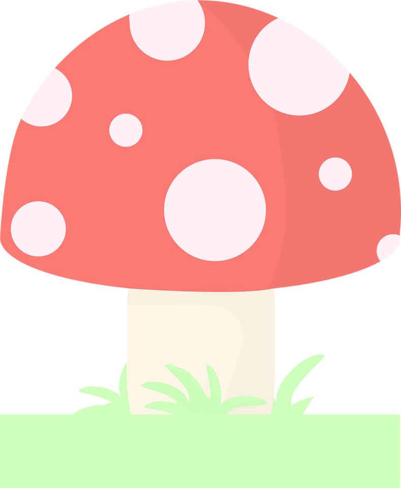 Mushroom Circle PNG
