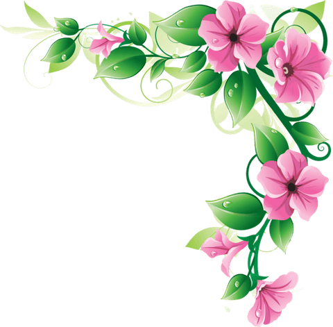 Floral Outline Border PNG