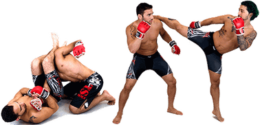 Grappling PNG