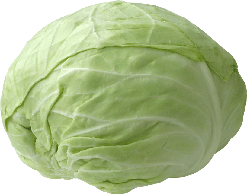 Cabbage PNG