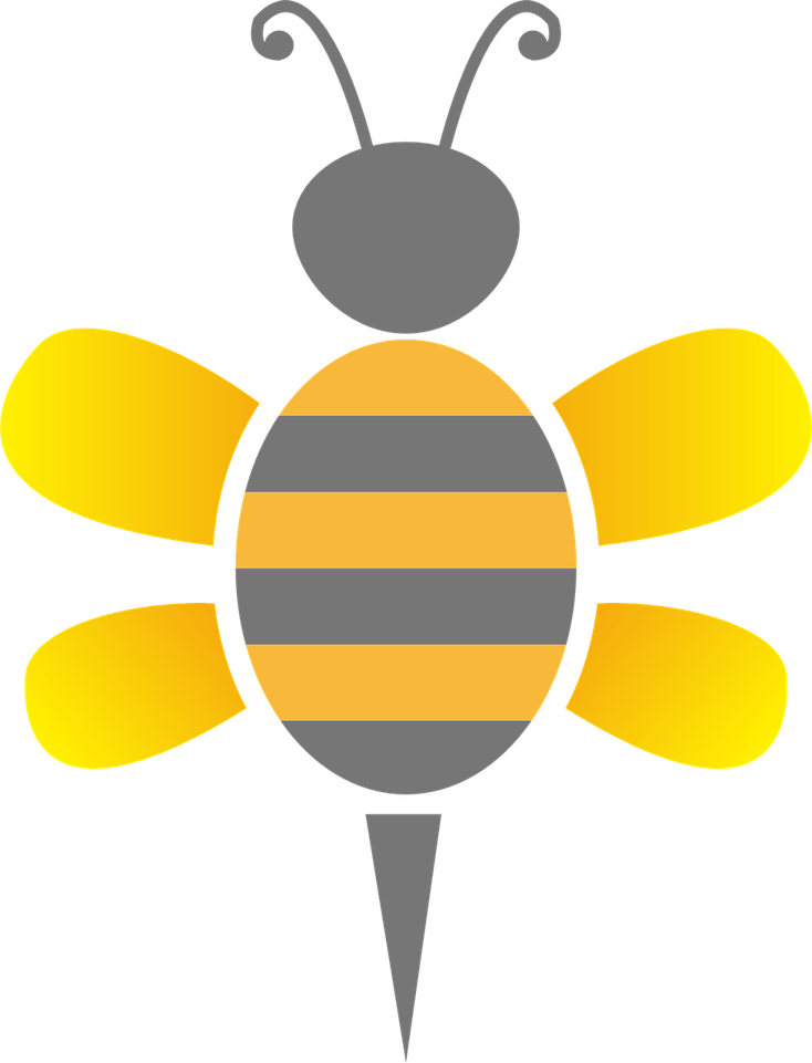 Wasp Insect PNG