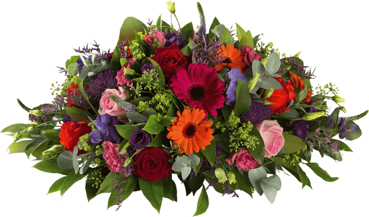 Gypsophila Flower PNG