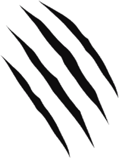 Realistic Claw Marks PNG