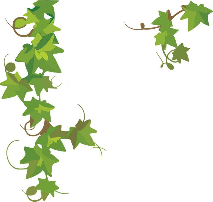 Ivy PNG