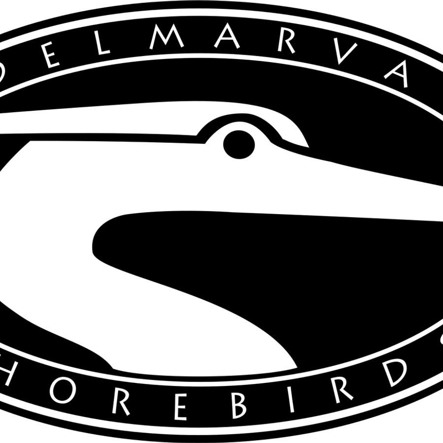Delmarva Shorebirds PNG