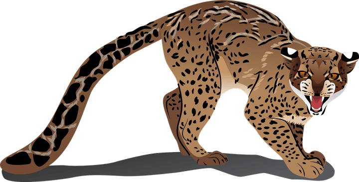 Marbled Cat PNG