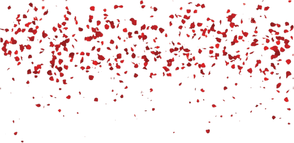 Flower Petals PNG